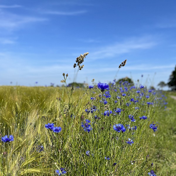 Wer bin ich eigentlich? Selbstbild & Fremdbild verstehen