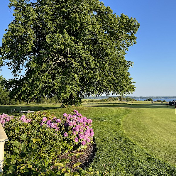 Deine Energie ist eine endliche Ressource